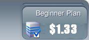 $1.33/Mo cheap affordable web hosting services